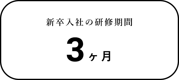 新卒入社の研修期間3ヶ月